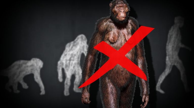 Lire la suite à propos de l’article L’anarque de l’évolution singe-homme 